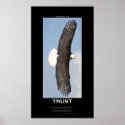TRUST Bald Eagle Motivational Poster posters