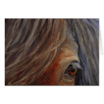 "Trust" Horse Card