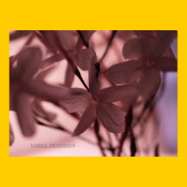 "Trust In What You Love" Poster posters