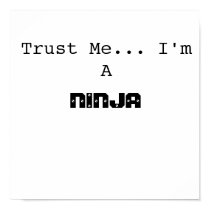 Trust Me... I'm A, NINJA posters