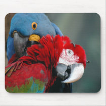 Trust Mousepad by mlane53 Trust Mousepad