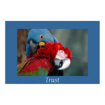 Trust posters