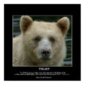 "TRUSTING SPIRIT" Art Poster posters by RavenSpiritPrints "TRUSTING SPIRIT" Art Poster posters
