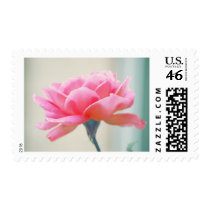 Truth postage