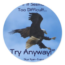 "TRY ANYWAY" EAGLE Series Stickers