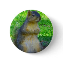 Try_ buttons