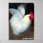 Try To Fly Poster posters