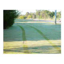 Trye Prints In Dewey Grass At Wanneroo Road In Car Post Cards