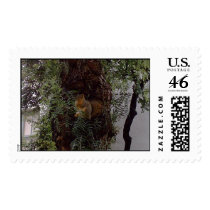 trying to hide postage