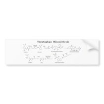 Tryptophan Biosynthesis Chart Bumper Sticker