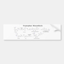 Tryptophan Biosynthesis Chart Bumper Sticker