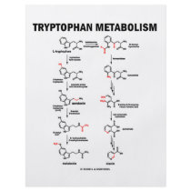 Tryptophan Metabolism (Chemistry) flyers by wordsunwords Tryptophan Metabolism (Chemistry) flyers