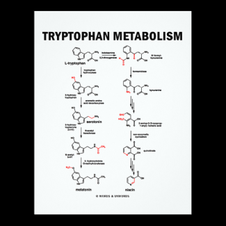 Tryptophan Metabolism (Chemistry) 4.25x5.5 Paper Invitation Card