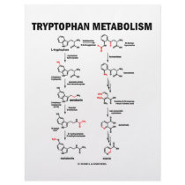 Tryptophan Metabolism (Chemistry) letterhead by wordsunwords Tryptophan Metabolism (Chemistry) letterhead