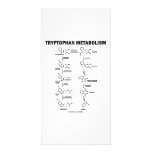Tryptophan Metabolism (Chemistry) Photo Card Template