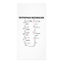 Tryptophan Metabolism (Chemistry) Photo Card Template