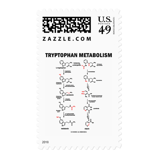 Tryptophan Metabolism (Chemistry) Postage Stamp