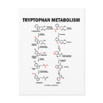 Tryptophan Metabolism (Chemistry) postcards by wordsunwords Tryptophan Metabolism (Chemistry) postcards
