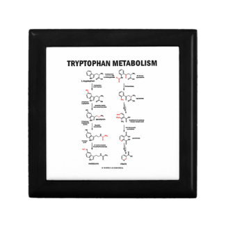 Tryptophan Metabolism (Chemistry) Trinket Boxes