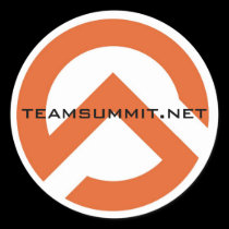 TS Symbol Sticker stickers