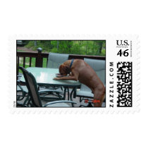 Tsavo stamps