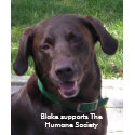 Tshirt - Blake supports The Humane Soci...