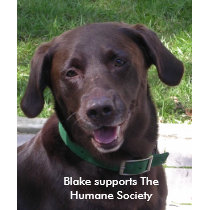 Tshirt - Blake supports The Humane Soci... by PinkMonkey_8 Tshirt - Blake supports The Humane Soci...