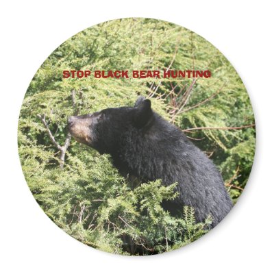 TSTOP BLACK BEAR HUNTING MAGNETS by michaelcyr1234