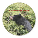 TSTOP BLACK BEAR HUNTING magnets