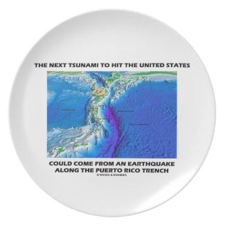 Tsunami Puerto Rico Trench (Plate Tectonics Earth) Party Plates