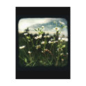 TTV #1 - postcard by kklawiter TTV #1 - postcard