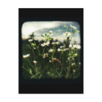 TTV #1 - postcard by kklawiter TTV #1 - postcard