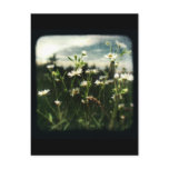 TTV #1 - postcard