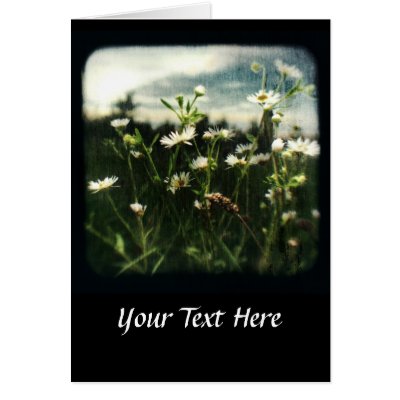 TTV Daisies 2 Greeting Card by kklawiter