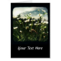 TTV Daisies 2 cards by kklawiter TTV Daisies 2 cards