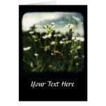 TTV Daisies 2 cards