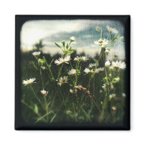 TTV Daisies Magnet by kklawiter TTV Daisies Magnet