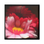 TTV Faux Gerbera Daisies magnets