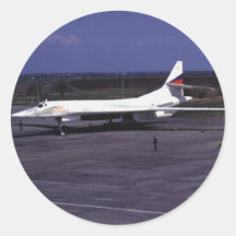 TU-160 STICKERS