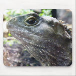 Tuatara Mousepad