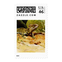 tuatara, Sphenodon punctatus Postage