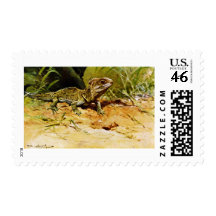 tuatara, Sphenodon punctatus Postage Stamp