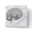 Tube Brain buttons