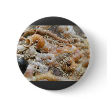 Tube Worm Shells Ocean buttons