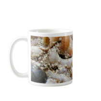 Tube Worm Shells Ocean mugs