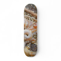Tube Worm Shells Ocean skateboards
