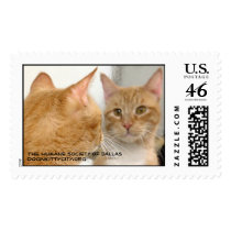 Tubo - dognkittycity.org Stamp by Humane_Society Tubo - dognkittycity.org Stamp