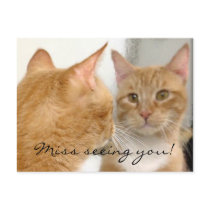 Tubo - Miss seeing you! Postcard by Humane_Society Tubo - Miss seeing you! Postcard