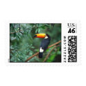 Tucan Bird postage postage