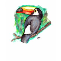 Tucan t-shirts